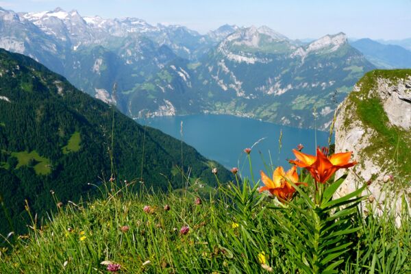 Tal- & Gipfeltour: Gratwanderweg Stoos