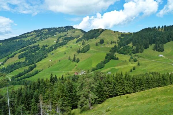 Rigi Scheidegg-Weg