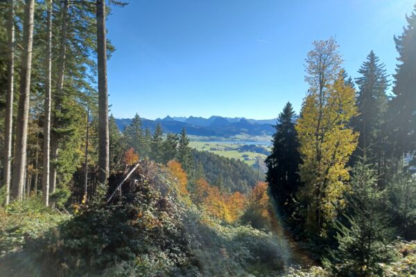 Wildspitz Höhronen