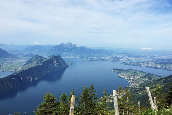 WanderWunder Schwyz: Rigi Hinter Dosse