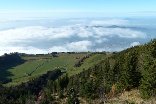 Schwyzer Höhenweg, 1. Etappe Küssnacht - Rigi