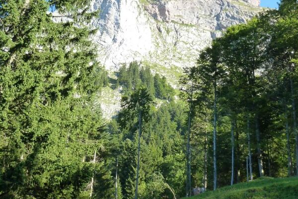 Rund um den grossen Mythen