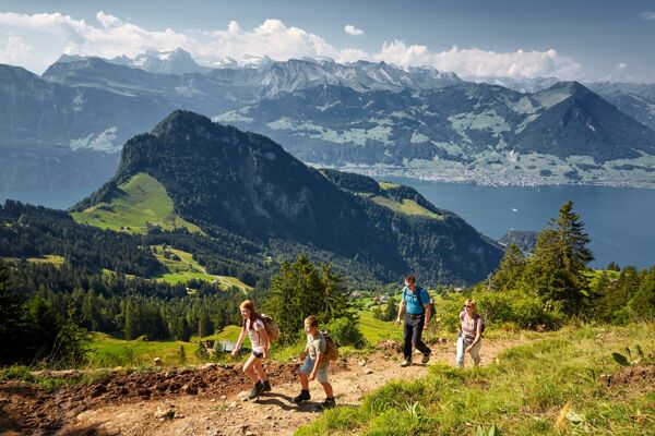 Tal- & Gipfeltour: Rigi Scheidegg - Rigi Kaltbad