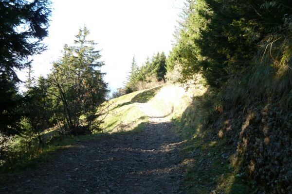 Schwyzer Höhenweg, 1. Etappe Küssnacht - Rigi