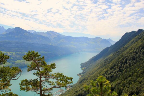 Tal- & Gipfeltour: Brunnen - Rigi Scheidegg