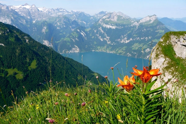 Tal- & Gipfeltour: Gratwanderweg Stoos