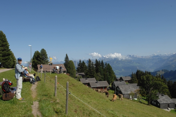 Bergwanderweg Gersau - Rigi Scheidegg