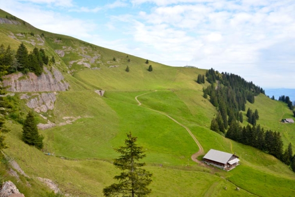 Rigi-Panoramaweg, Rigi First - Rigi Scheidegg