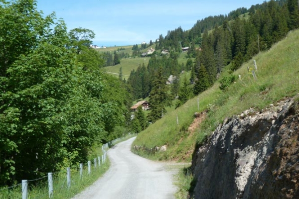 Schwyzer Höhenweg, 2. Etappe Rigi - Goldau